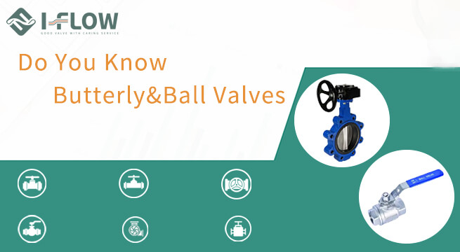 Butterfly Valve VS Ball Valve