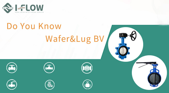Wafer Type VS Lug Type Butterfly Valves