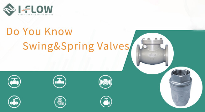 Swing Check Valve VS Spring Check Valve