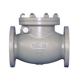 SWING CHECK VALVE