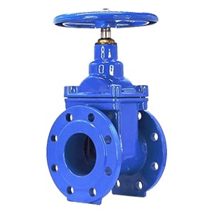 sluice valve