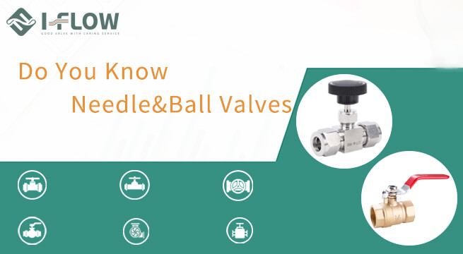Needle Valve VS Ball Valve