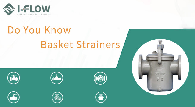 What Is the Basket Strainer Used For