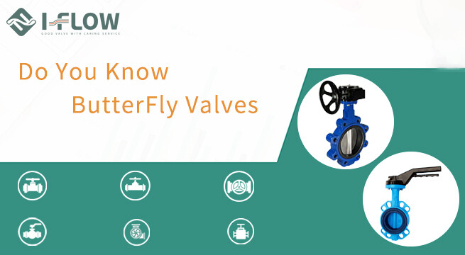 How To Choose The Right Butterfly Valve for Your Application
