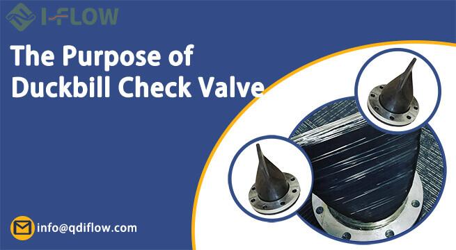 What Is The Purpose of A Duckbill Valve