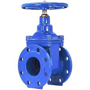 gate valve