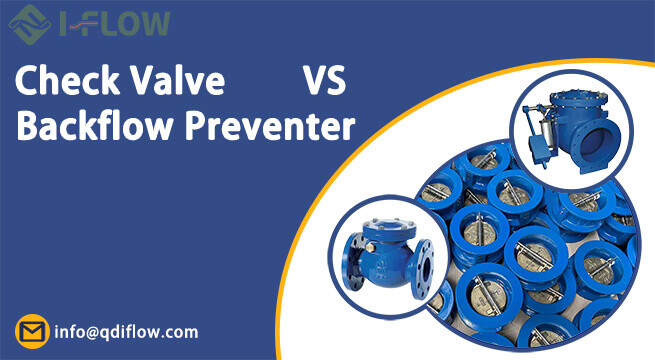 Key Differences You Need to Know About Check Valve