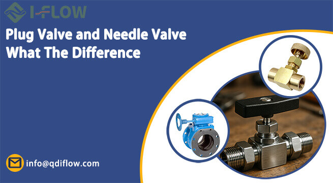 What Is The Difference Between Plug Valve and Needle Valve