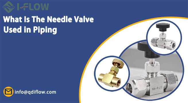 What Is The Needle Valve Used in Piping