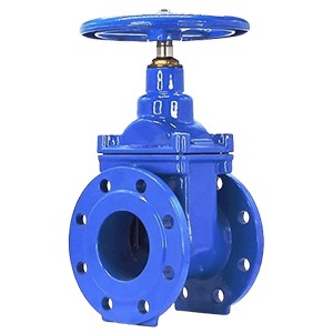 gate valve