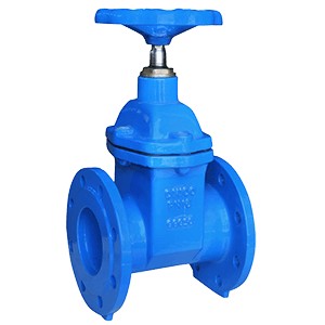 gate valve