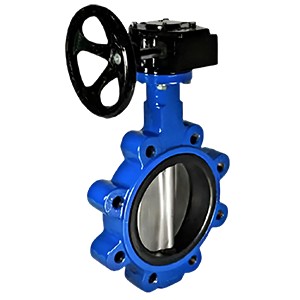 butterfly valve