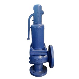 SAFETY VALVE SAFETY VALVE