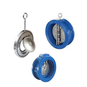 check valve