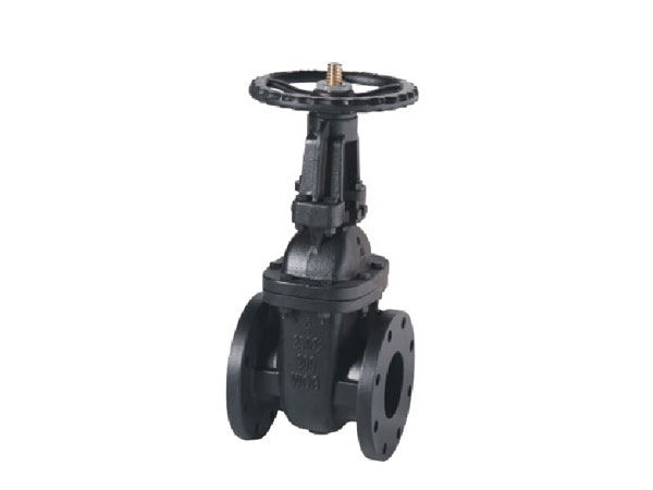 MSS SP-70 Class 125 OS&Y Cast Iron Gate Valve