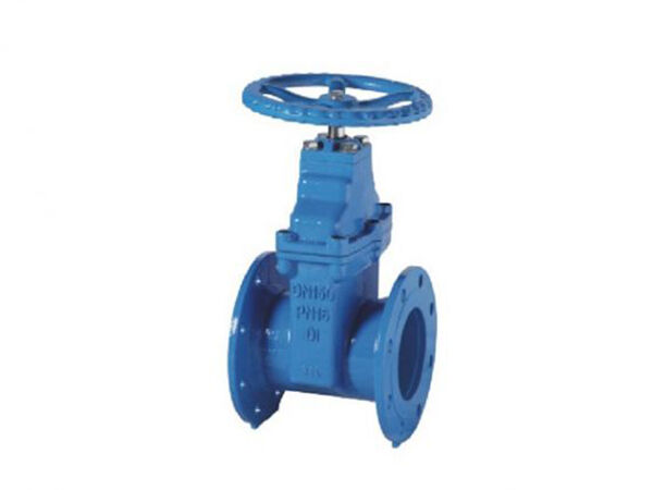 BS5163 PN25 Type-B Resilient Seat Gate Valve