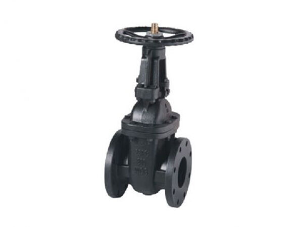 MSS SP-70 Class 250 OS&Y Cast Iron Gate Valve