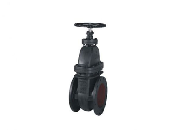 MSS SP-70 Class 250 NRS Cast Iron Gate Valve