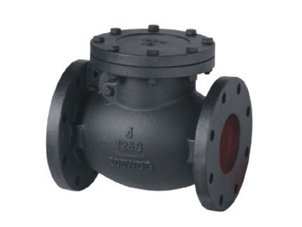 MSS SP-71 Class 125 Cast Iron Swing Check Valve MSS SP-71 Class 125 Cast Iron Swing Check Valve