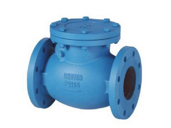 BS5153 PN16 Cast Iron Swing Check Valve BS5153 PN16 Cast Iron Swing Check Valve