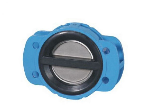 Rubber-Coated Check Valve Rubber-Coated Check Valve