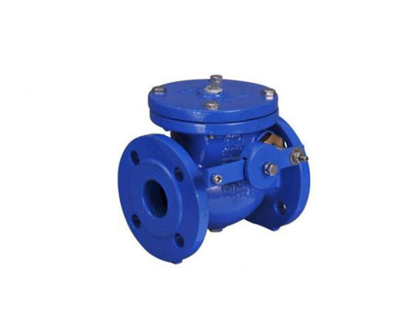 MSS SP-71 Class 125 Cast Iron Swing Check Valve With Weight