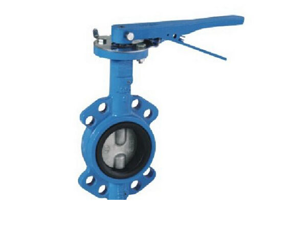 EN593 PN10/PN16/PN25/Class 125/Double Shaft Butterfly Valve