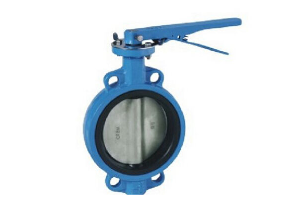 EN593 PN10/PN16/PN25/Class 125/Wafer Type Spling Butterfly Valve With PINS