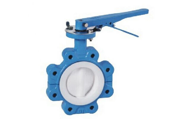 Ptfe Seated Butterfly Valve