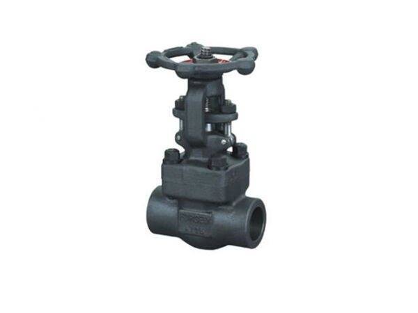 Forged Steel Gate Valve