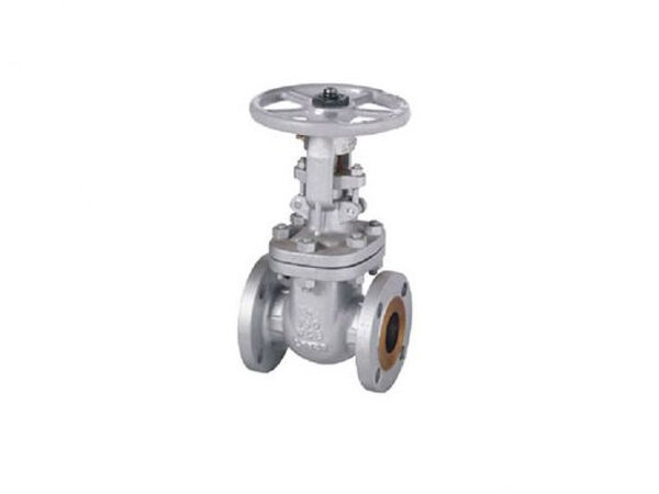 API600 Class 150 OS&Y Cast Steel Gate Valve
