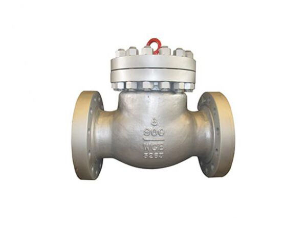 Class 600-900 Cast Steel Check Valve