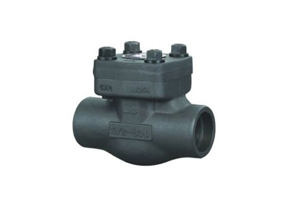 Forged Steel Check Valve
