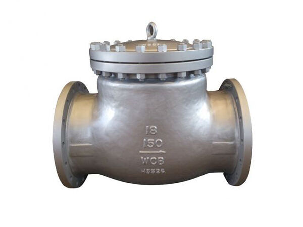 Class 150-300 Cast Steel Check Valve