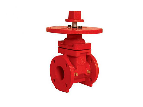300PSI-NRS Type Flanged End Gate Valve