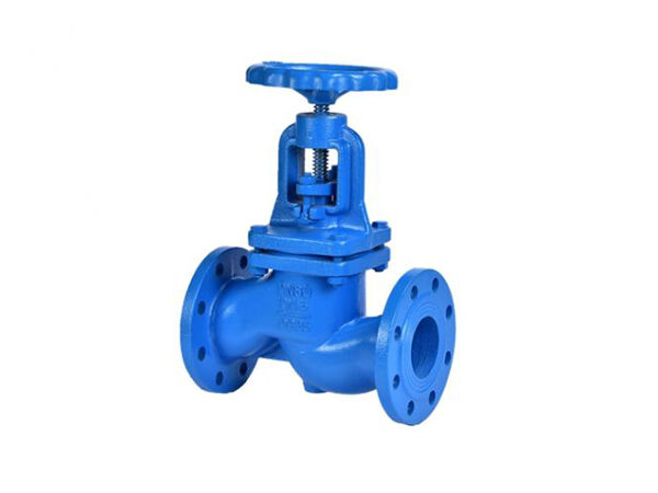DIN Cast iron globe valve