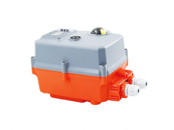 Electric Actuator