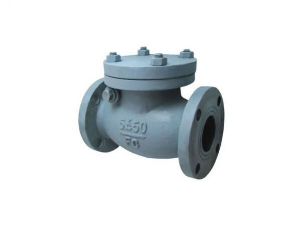 JIS F 7372 Cast rion 5K swing check valve