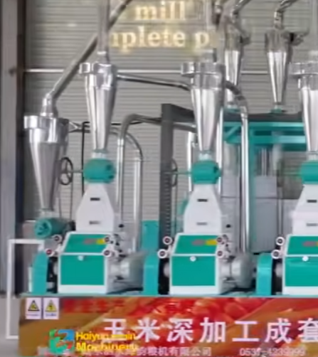 maize flour mill machine plant ,20-30tons of maize flour and grit mill machine complete plant .