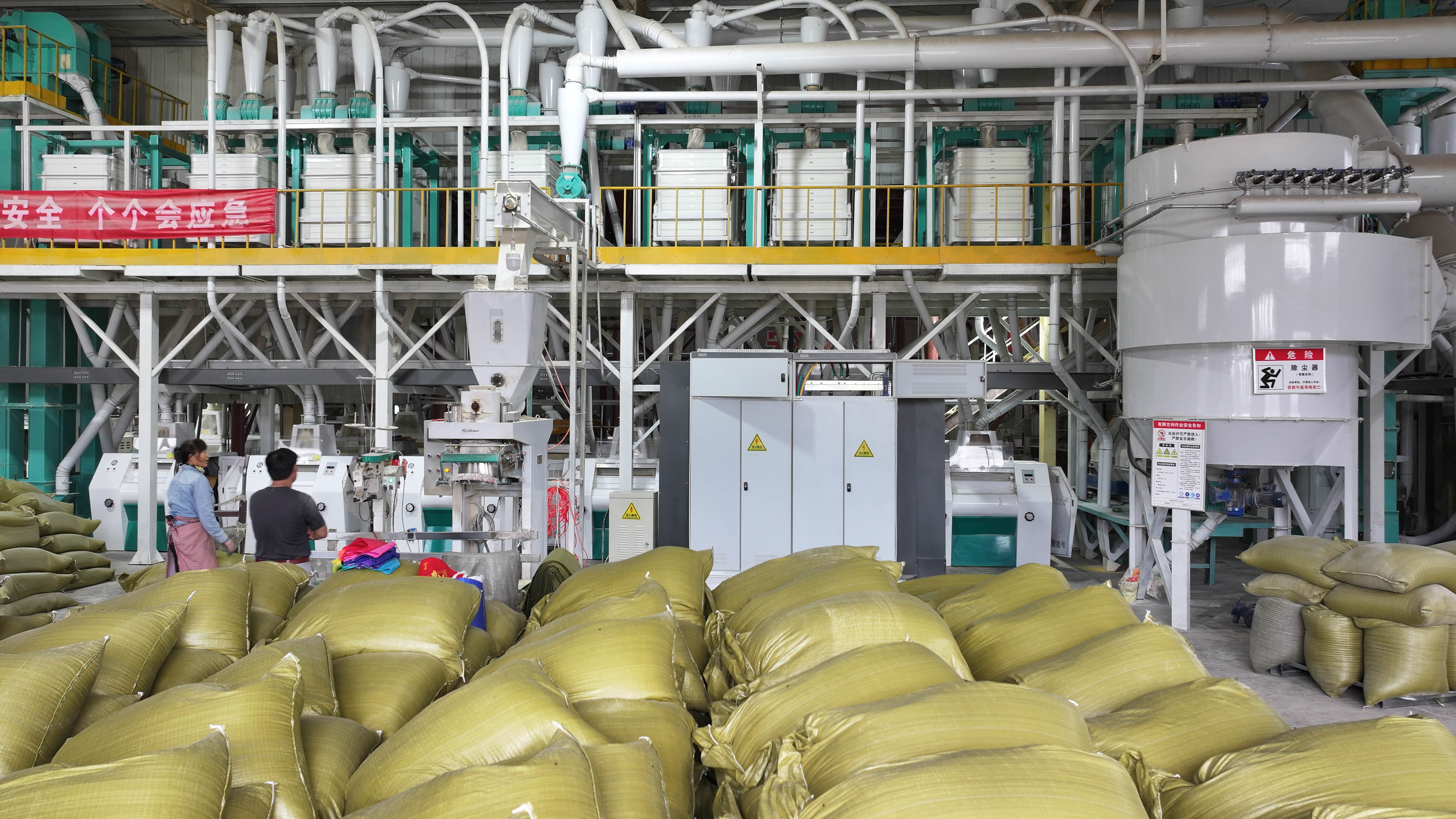 100tons of Corn flour and grit milling machine complete plant 