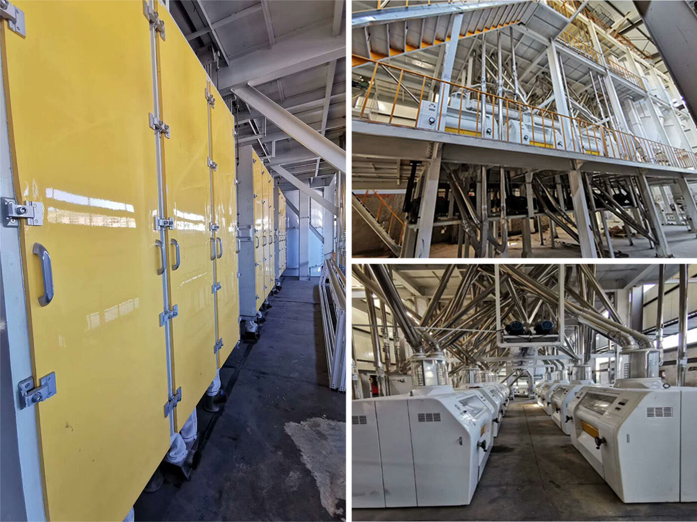 120TPD OF WHEAT FLOUR MILL MACHINE PLANT In Algeria