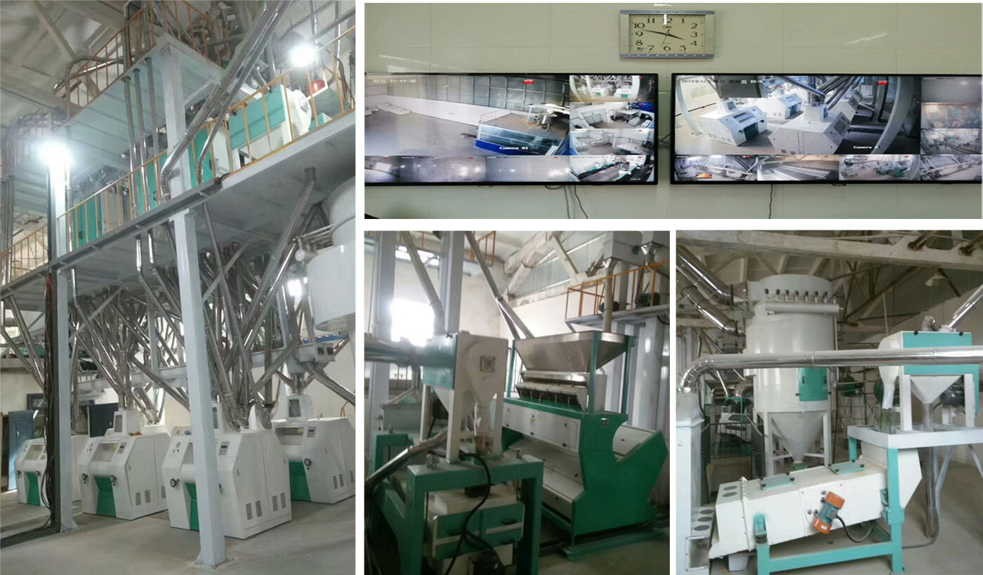 80TPD OF WHEAT FLOUR MILL MACHINE PLANT for cifeng customer