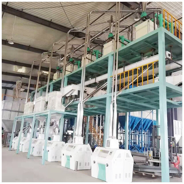 200tons of Corn flour and grit milling machine complete plant 