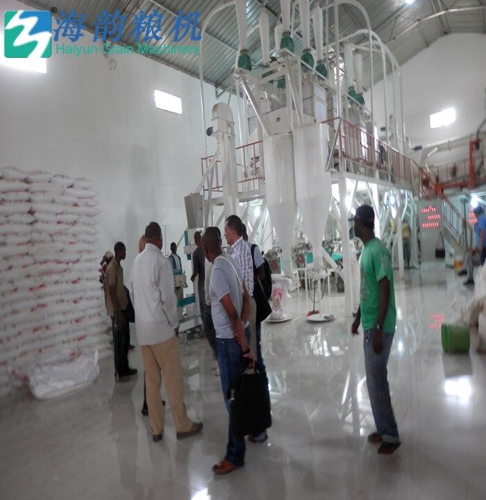 50tons of Corn flour and grit milling machine complete plant 