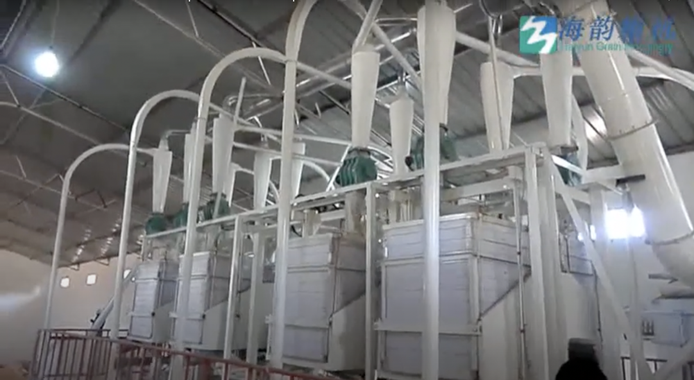 corn /maize flour mill machine plant in Mozambique