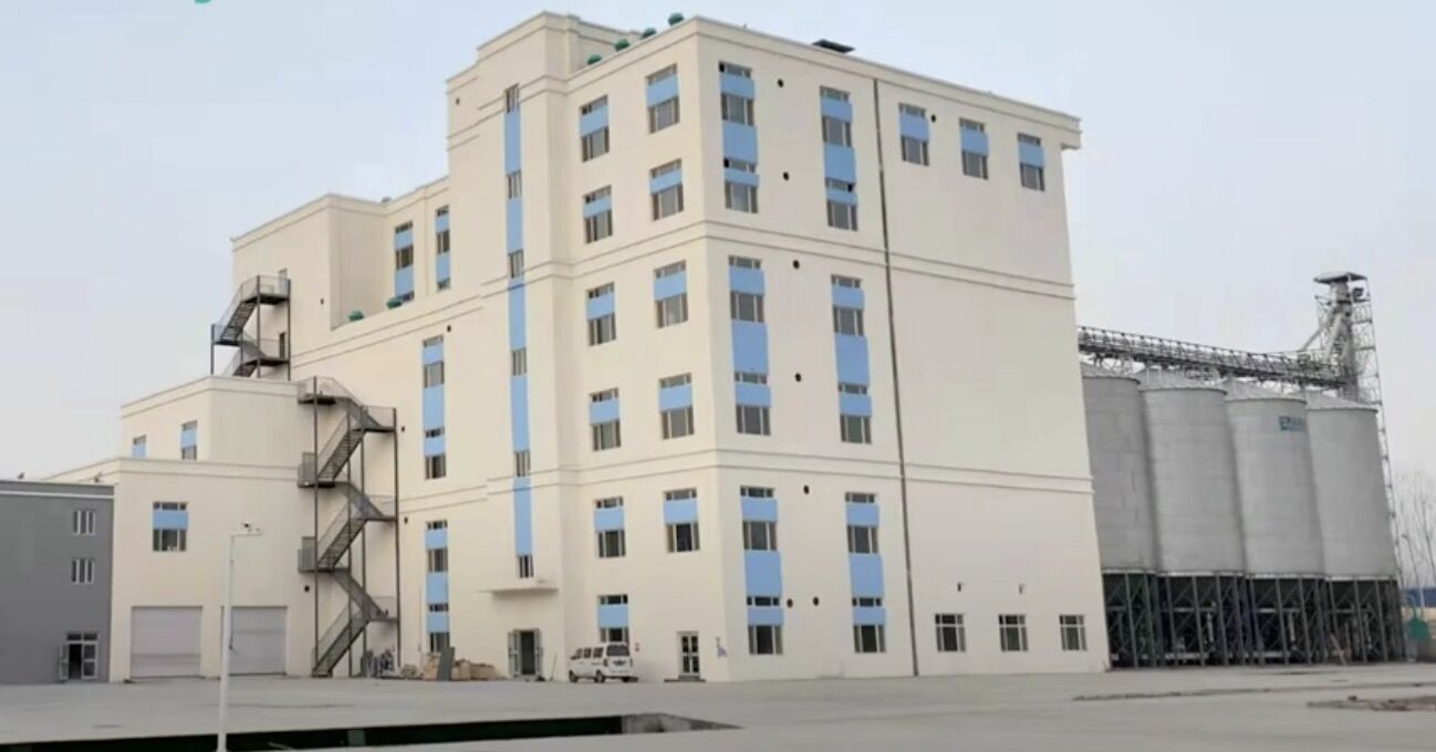 300TPD wheat flour mill machine line