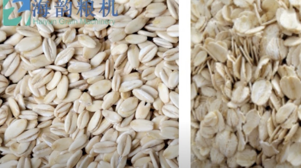 oat flakes machine plant