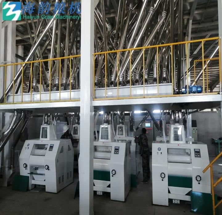 80tons of Corn flour milling machine complete plant in Afric hot sales 
