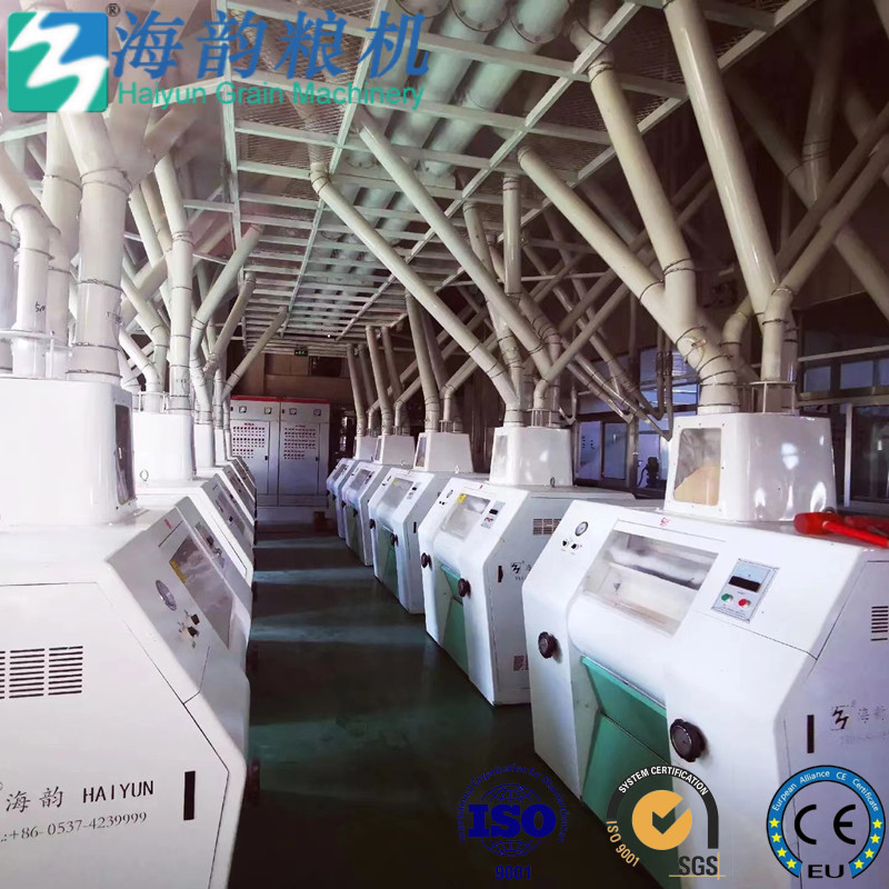 200tons of wheat flour mill machine plant