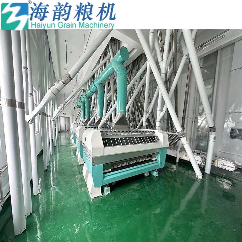 250tons of Corn meal milling machine complete plant 